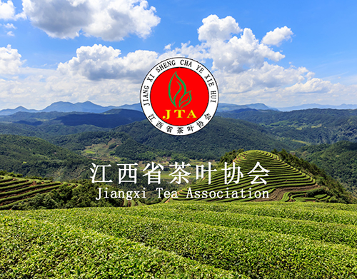 修水县枫露茶叶有限公司